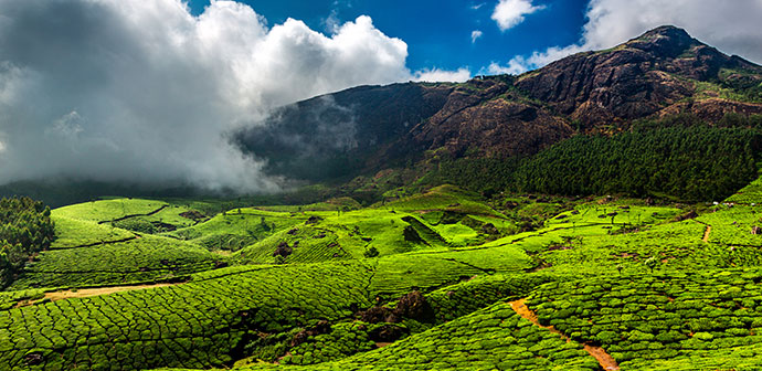 kerala trip